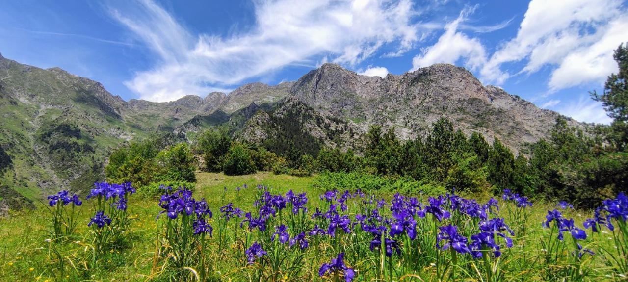 Apartmán Pleta Del Mon Atico Benasque Exteriér fotografie