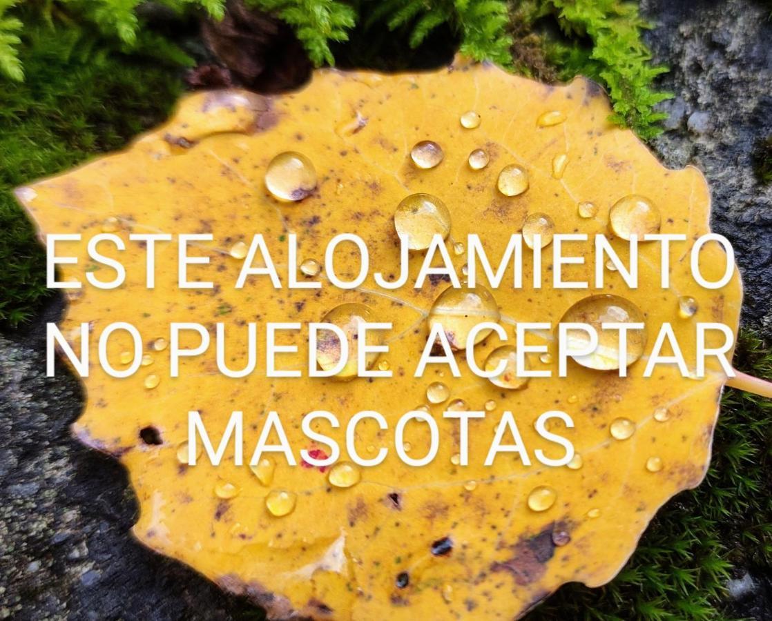 Apartmán Pleta Del Mon Atico Benasque Exteriér fotografie